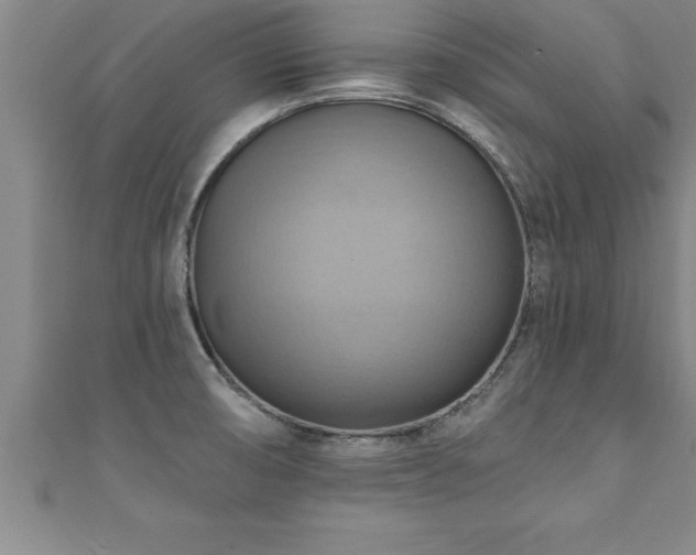 X0000111361474200907171153