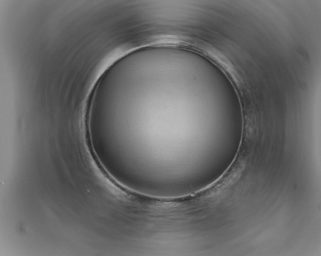 X0000111361475200907171153