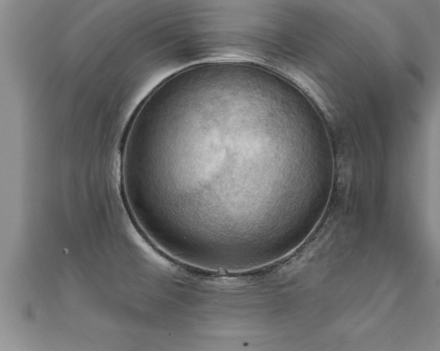 X0000111361476200907171153
