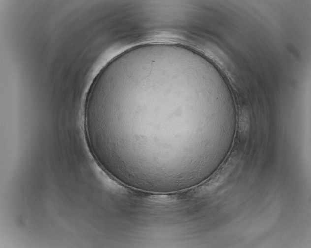 X0000111361478200907171153