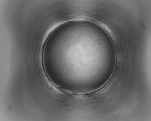 X0000111361480200907171153