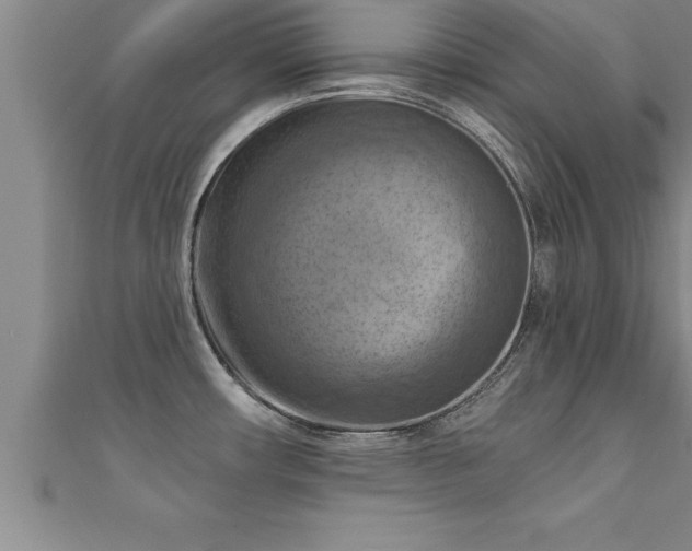 X0000111361482200907171153