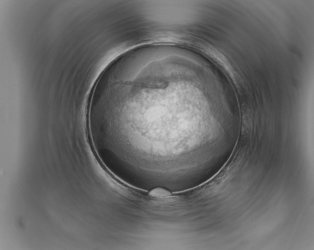 X0000111361483200907171153