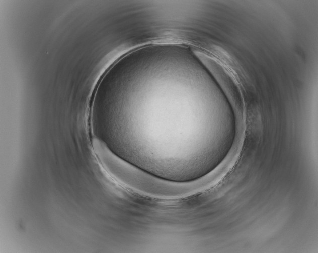 X0000111361484200907171153