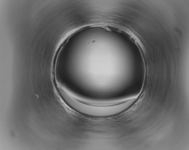 X0000111361485200907171153