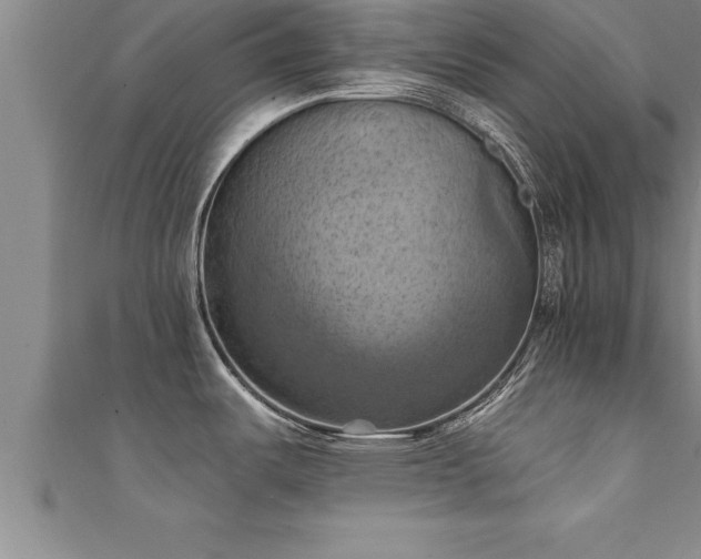 X0000111361487200907171153