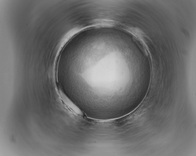 X0000111361488200907171153