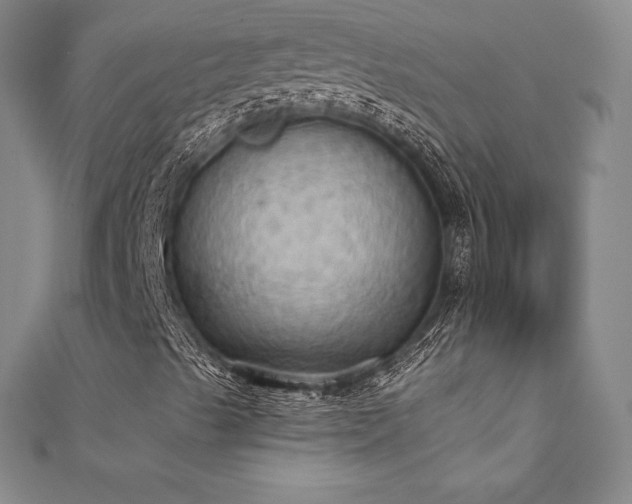 X0000111361489200907171152