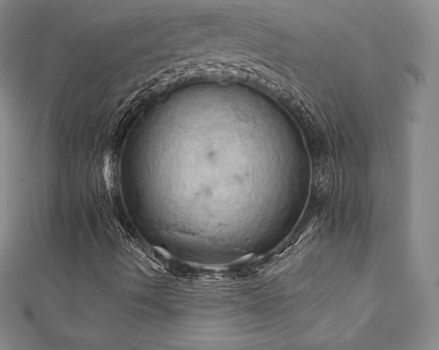 X0000111361490200907171152
