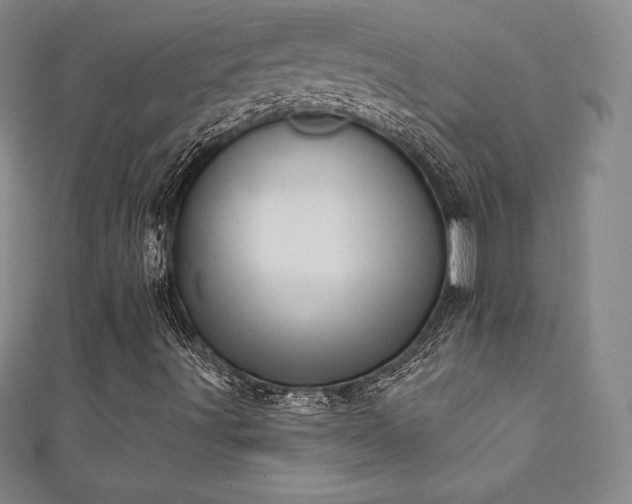 X0000111361491200907171152