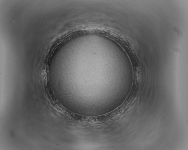 X0000111361493200907171152