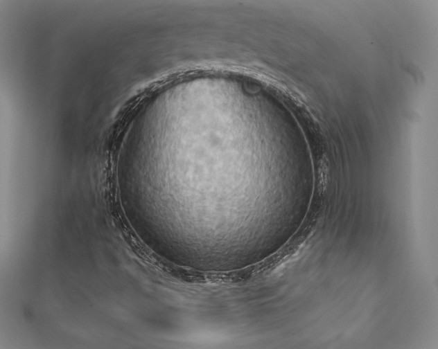 X0000111361494200907171153