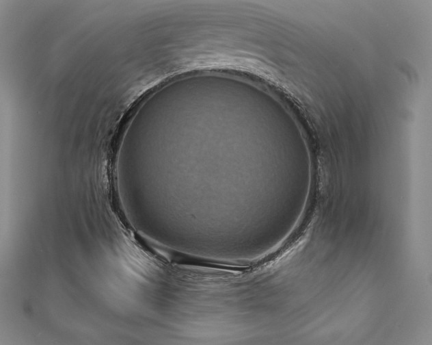 X0000111361497200907171153