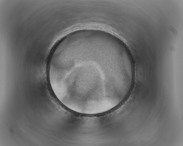 X0000111361498200907171153