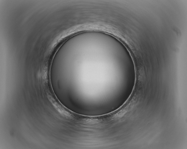 X0000111361499200907171153
