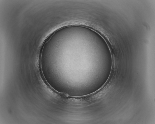 X0000111361500200907171153