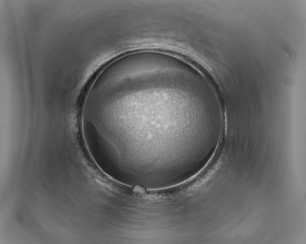 X0000111361501200907171153