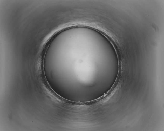 X0000111361502200907171153