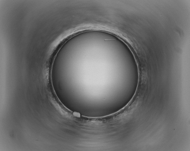 X0000111361503200907171153