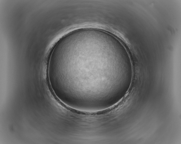 X0000111361504200907171153