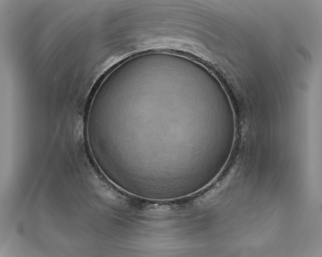 X0000111361505200907171153