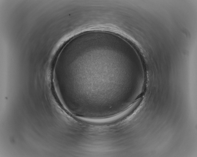 X0000111361506200907171153