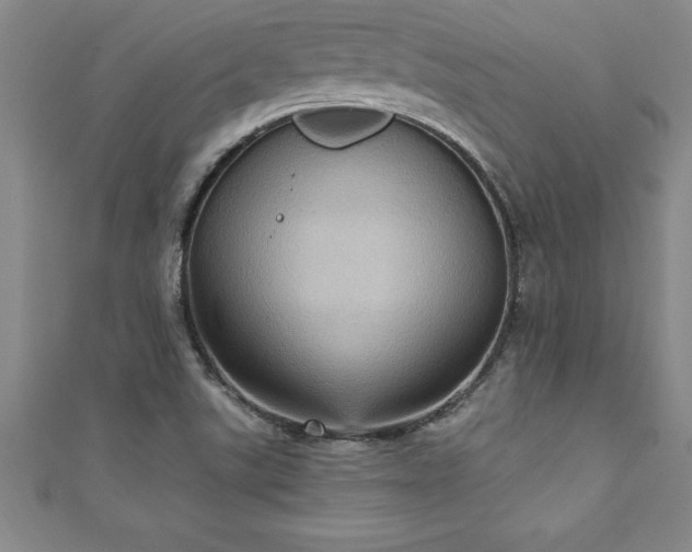 X0000111361507200907171153