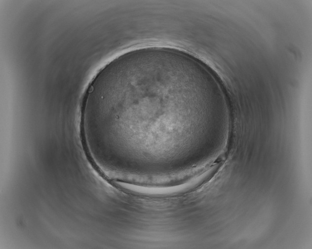 X0000111361508200907171153