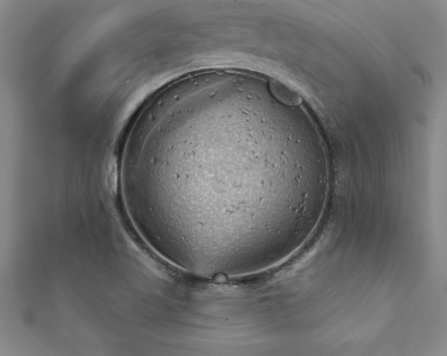 X0000111361509200907171153