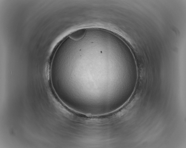 X0000111361510200907171153
