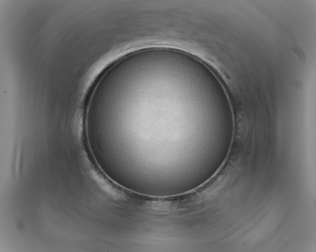 X0000111361511200907171153