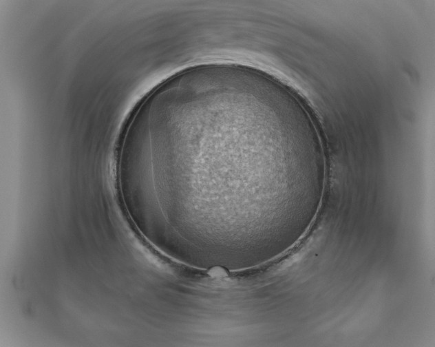 X0000111361517200907171153