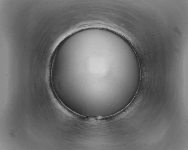 X0000111361518200907171153