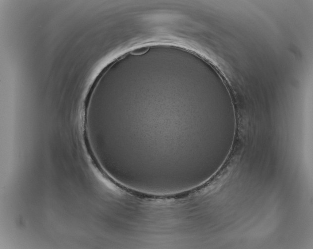 X0000111361519200907171153