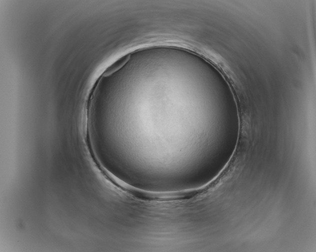 X0000111361520200907171153