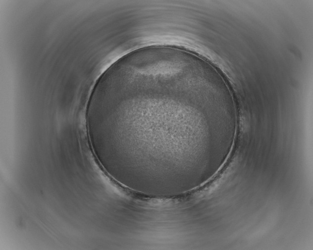 X0000111361521200907171153