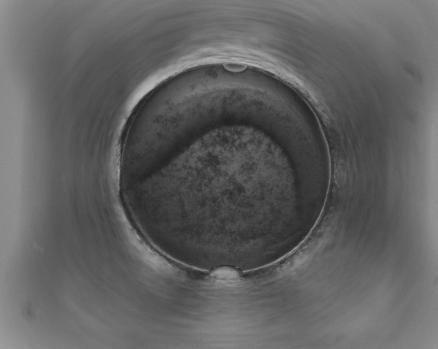 X0000111361522200907171153