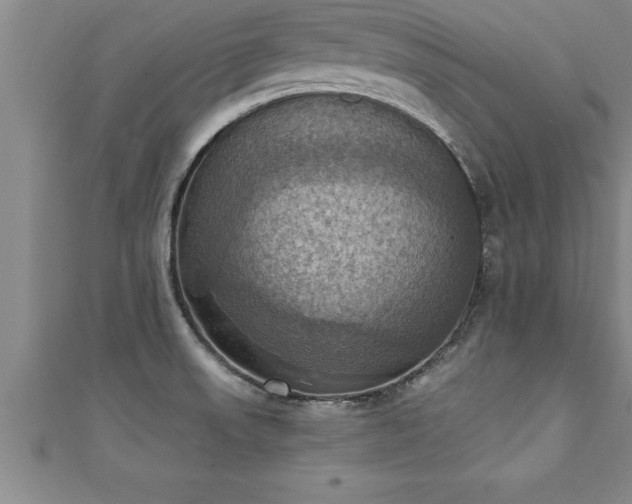 X0000111361523200907171153