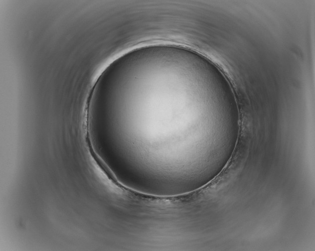 X0000111361524200907171153