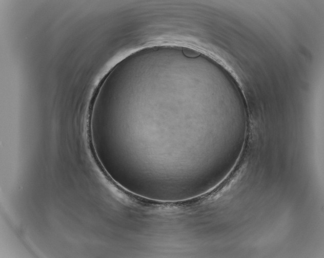 X0000111361525200907171153