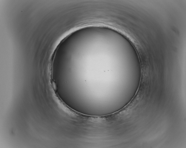X0000111361526200907171153
