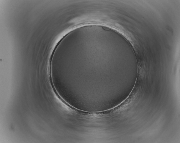X0000111361527200907171153