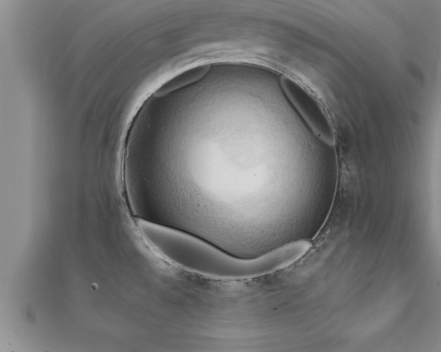 X0000111361528200907171153
