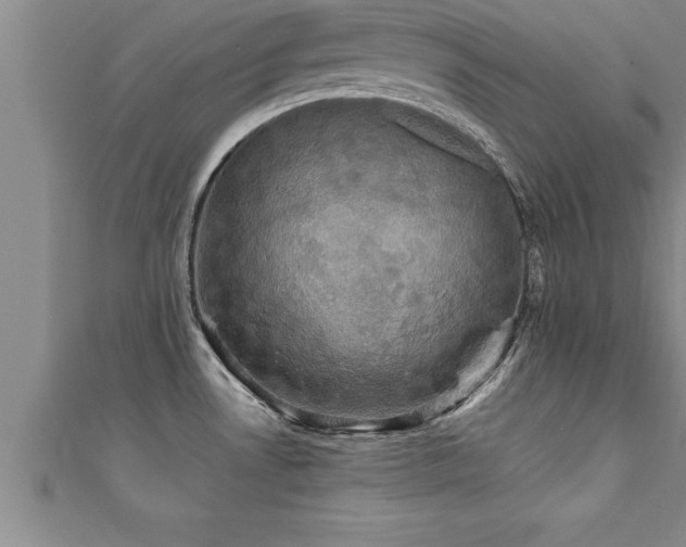 X0000111361530200907171153