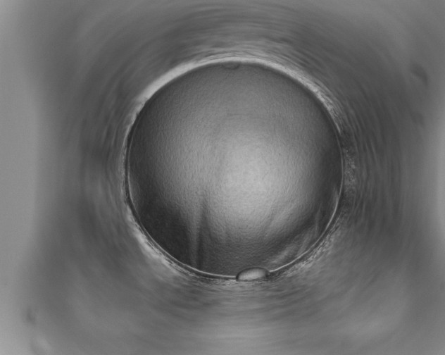 X0000111361534200907171153