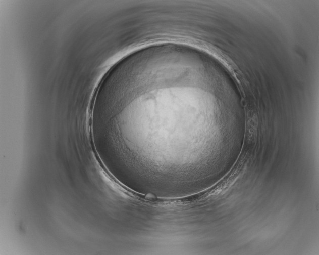 X0000111361535200907171153