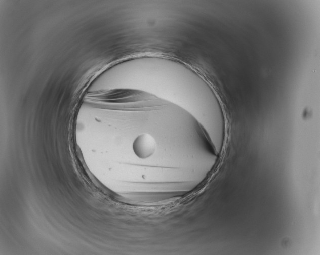 X0000111360001200907241233