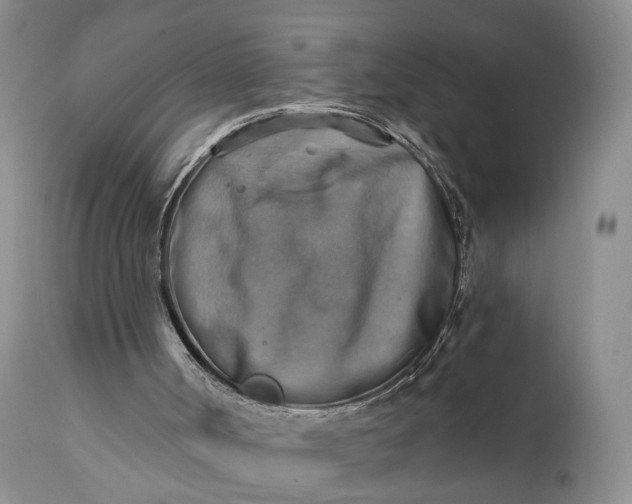 X0000111360002200907241233