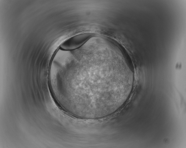 X0000111360003200907241233