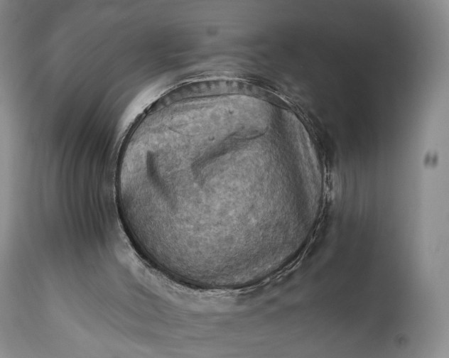 X0000111360004200907241233